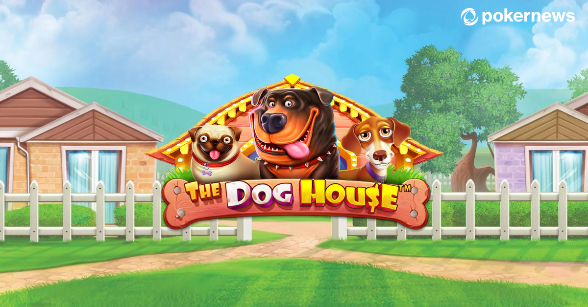 Слот The Dog House от Pragmatic Play в казино Драгон Мани